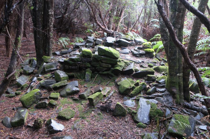 Mossy ruins in forest