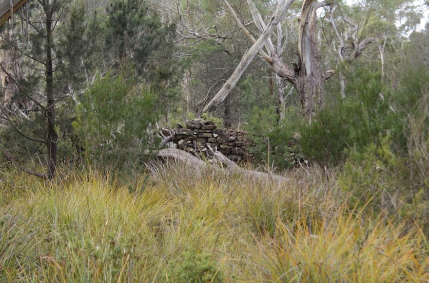 Convict stone ruins in clearing