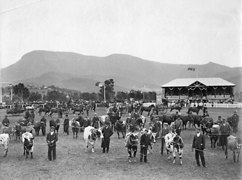 People and animals on oval with mountain behind